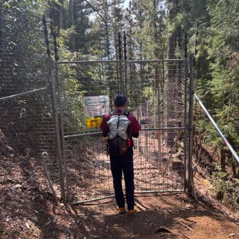 最後にゲート柵を通過し、東桂駅まで歩いて終了となりました🥾