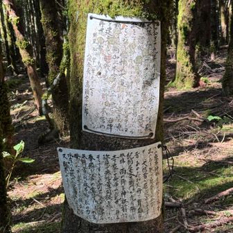 麻布神社⛩️、台風で🌀壊れちゃったのね。