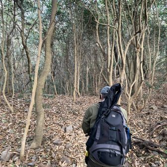 いざ、登山開始