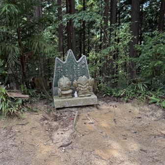 定番のパシャ