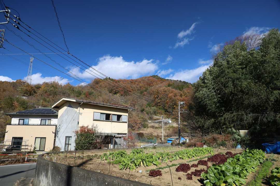 興因寺山へ向かう
