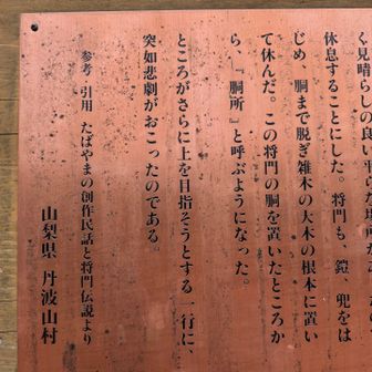 このルートは平将門が迷走したルートだそうで。「…突如悲劇がおこったのである。」の続きの看板が見つけられず💦気になるよー