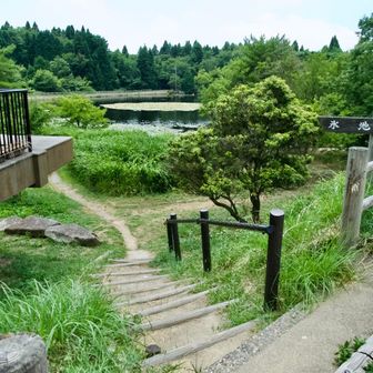 氷池へ