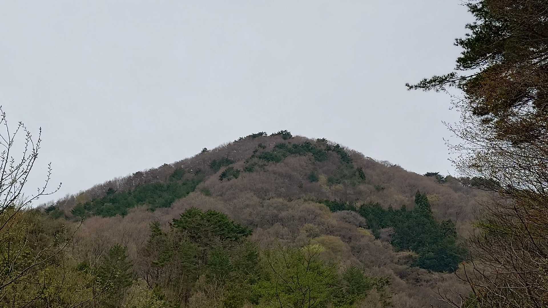 高土山登山道入口-高土山 周回コースの写真