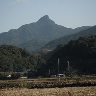 山馬鹿