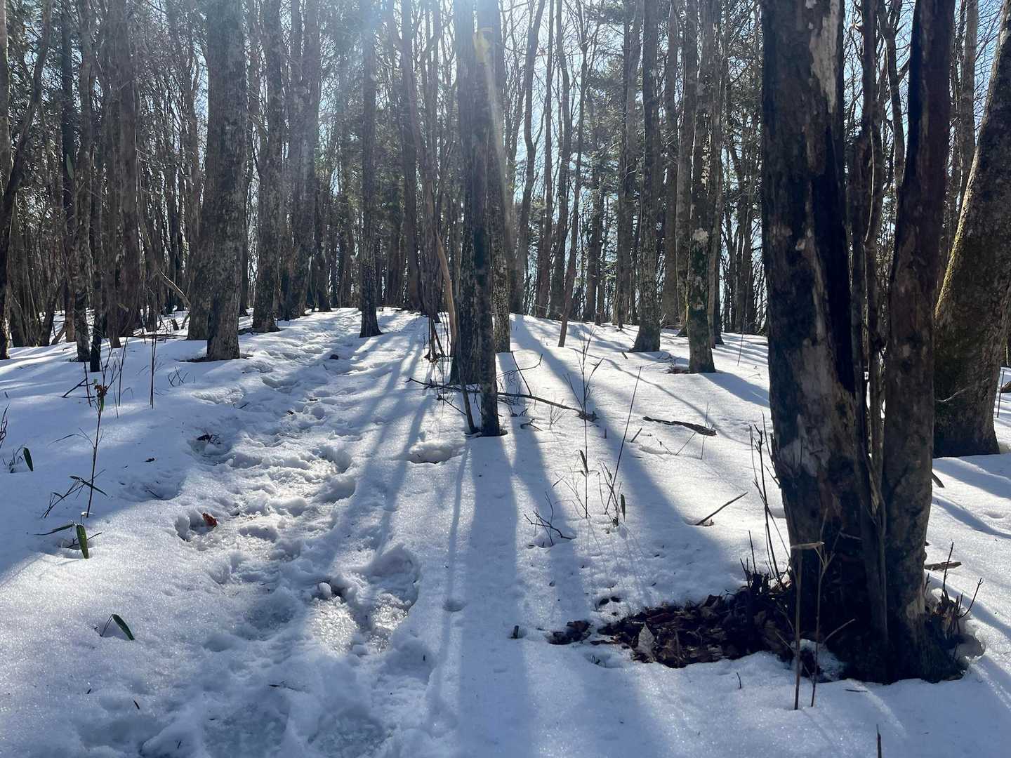 1人で登るにはホント静かで良き山😊