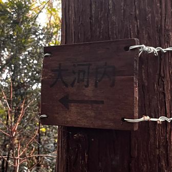 大河内方面への下山ルートもある様だ