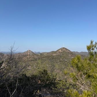 他の兵庫の山です。
このあたりは小ピークがいっぱいある。
