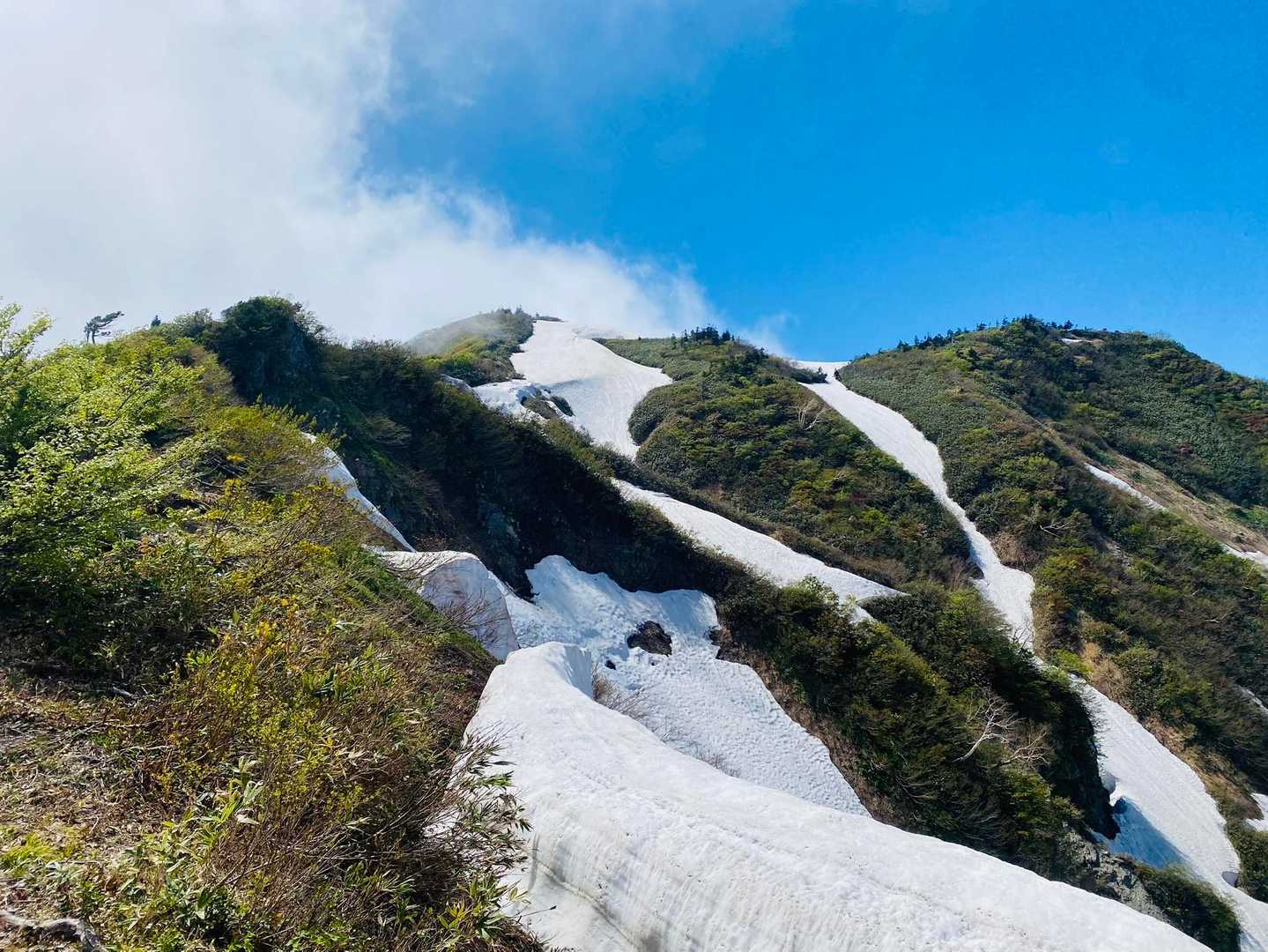 僧ヶ岳へ登り返し