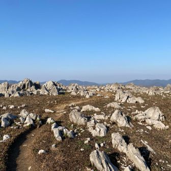 あっさりとしたピーク。