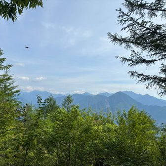 木々が成長して来年は観られるかどうか心配😟