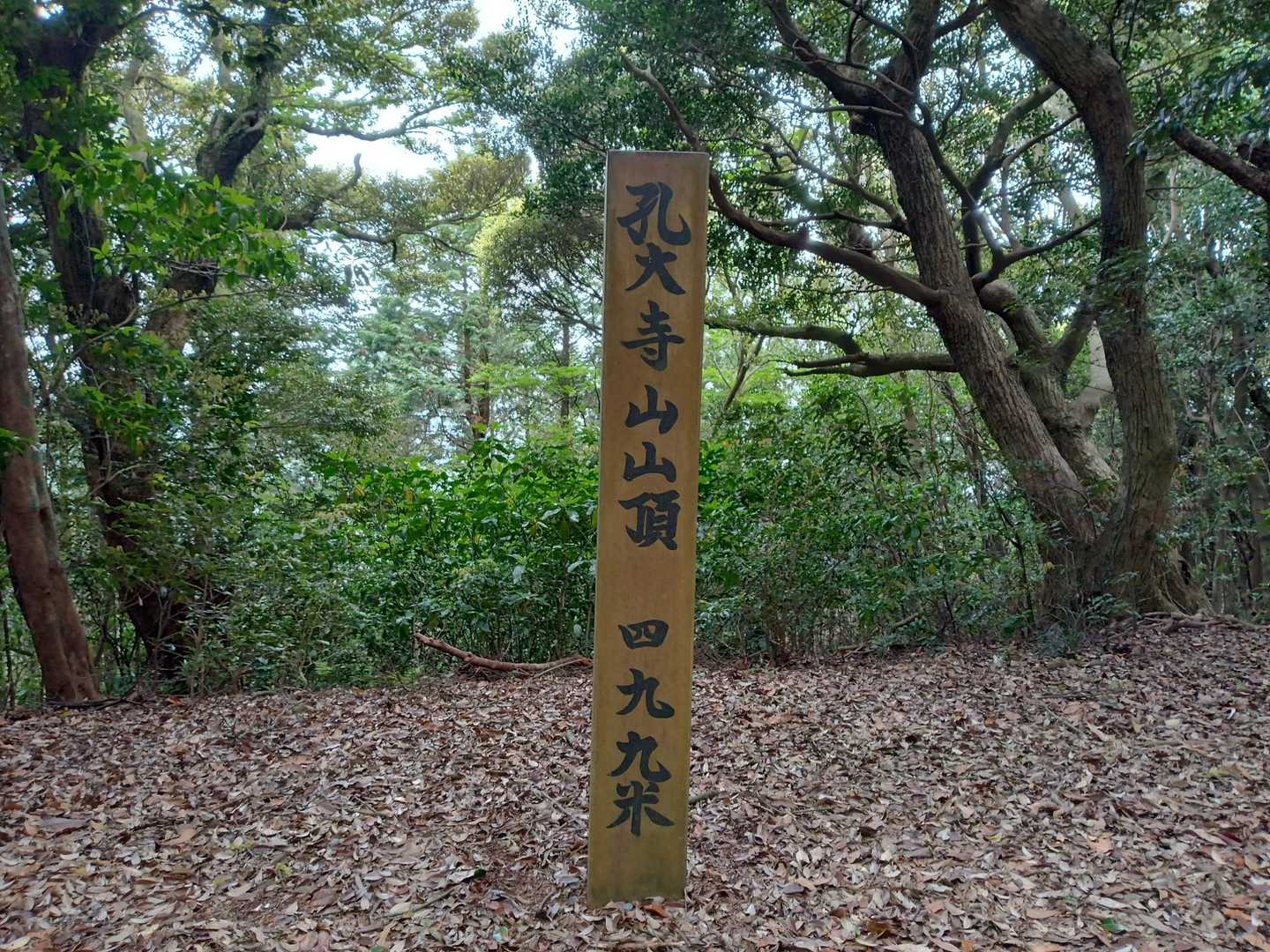 白山城跡登山口-白山-孔大寺山 往復コースの写真