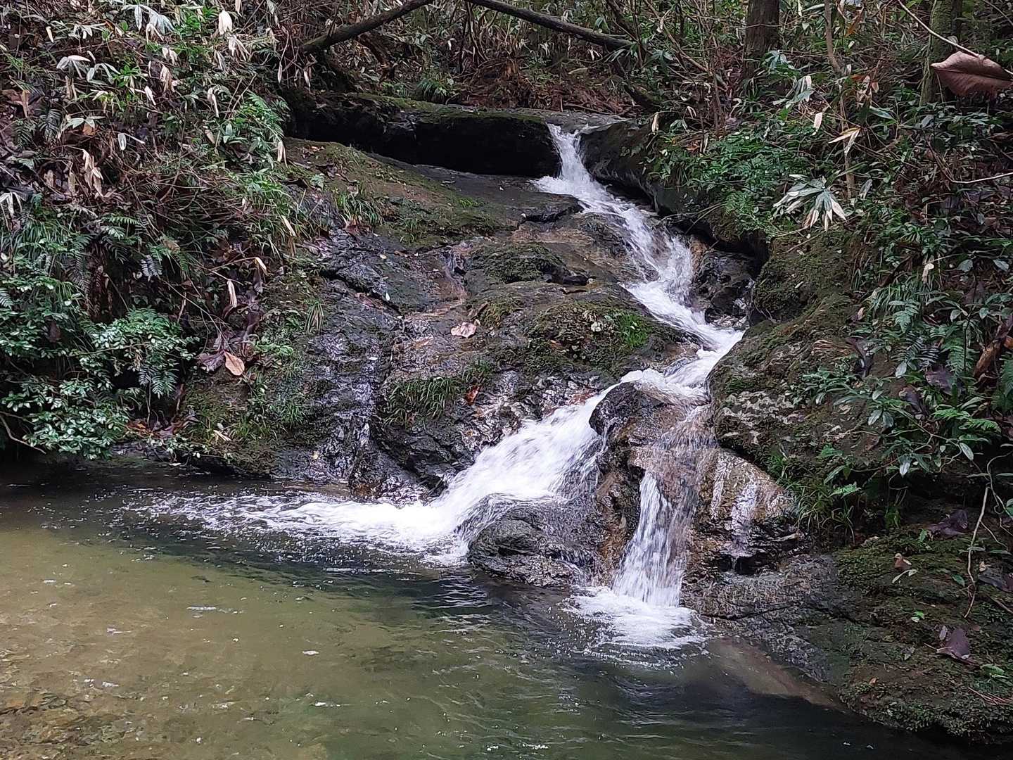 雨降る前に下山できました🙏