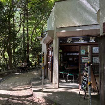 元気に市ケ原で半縦走クリアにホッとした瞬間