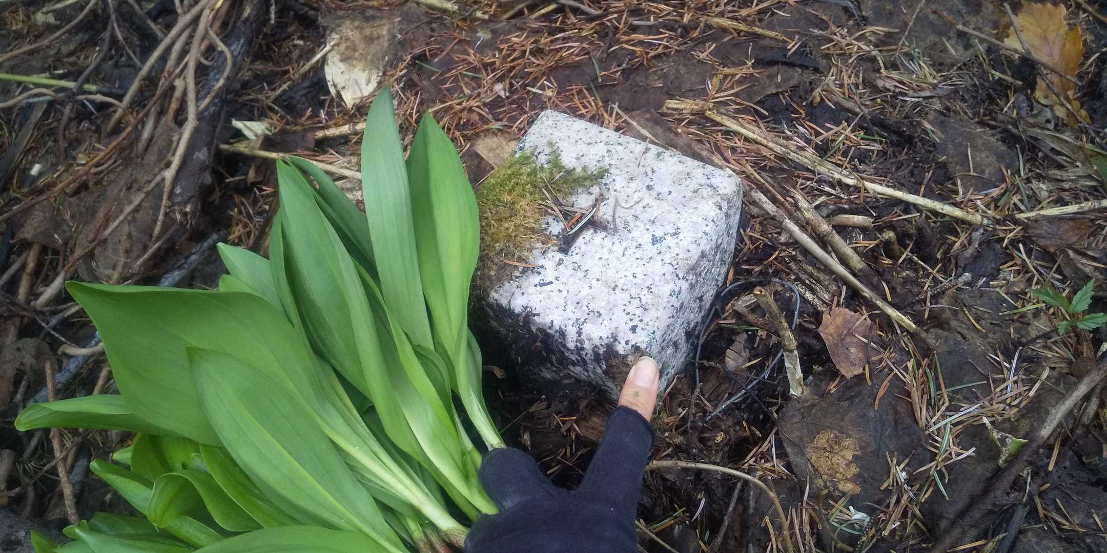 ぼちっ