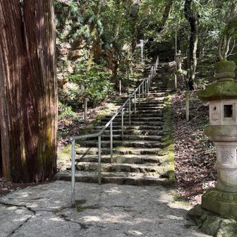 金華山 / jinisanさんの金華山・洞山・舟伏山の活動データ | YAMAP