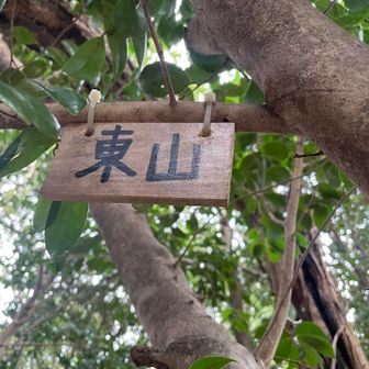 探したら山頂標識あったよ🤭