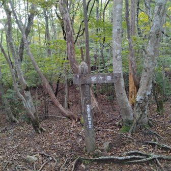ここまで写真なし、なぜならきついから・・・。