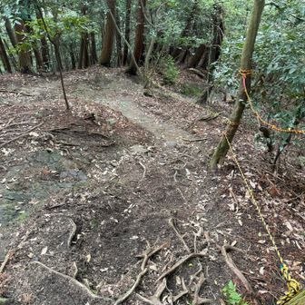 分岐からしばらく急坂