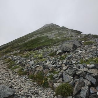 ご祈祷を選んでしまい、(YAMAP日本百高山)劔御前山をピークハント出来ませんでしたが、劔岳見えず、立山日和なのでそんなもんかな。
劔御前山の登山道は、(トウヤクリンドウ中心のツガザクラ、チングルマ、ハクサンイチゲ)白いお花畑。
トウヤクリンドウがキレイでした。
 こちらは、まだチングルマもコバイケイソウも残っています。2026.8.5現在。
劔日和の日が来て、シーズンが終わりに向かうのかも…。とにかく今日は、富士ノ折立を下る時からガスがスッポリで峰で晴れる感じ。
どの峰登っても、シーズン中は、公開させない？という感じさえしますが、遭難にはくれぐれも
注意しましょう。
ヘリも、小型機も、捜査中？でした。
