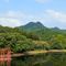 小嶋