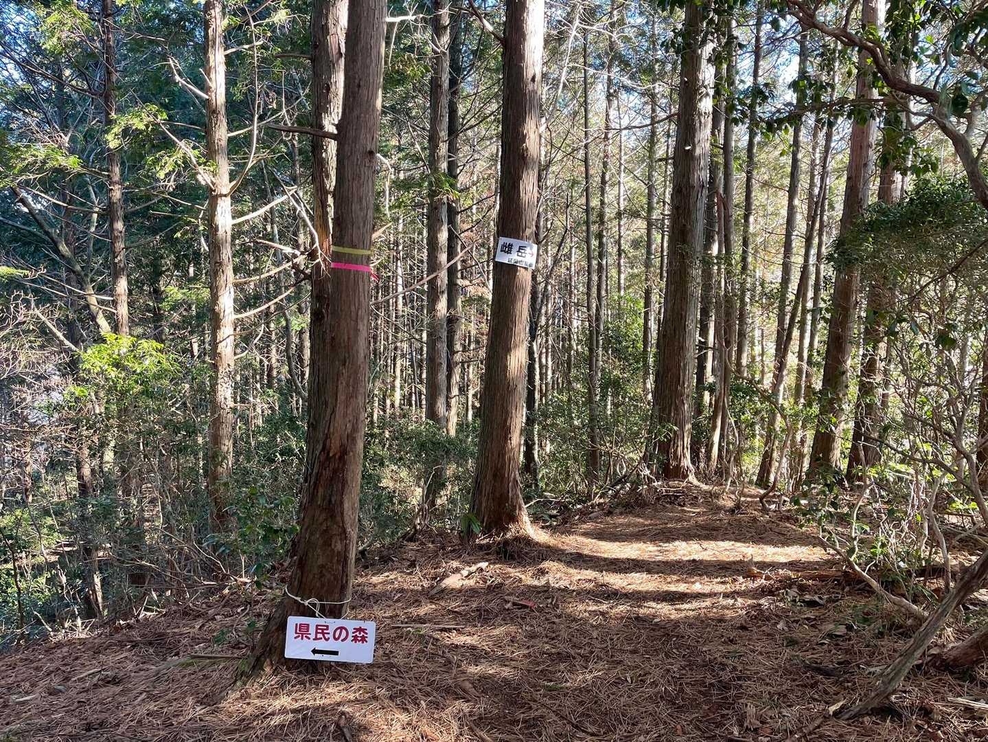 周回路と分岐
先ずは雌岳に行って戻ってくるポイント。