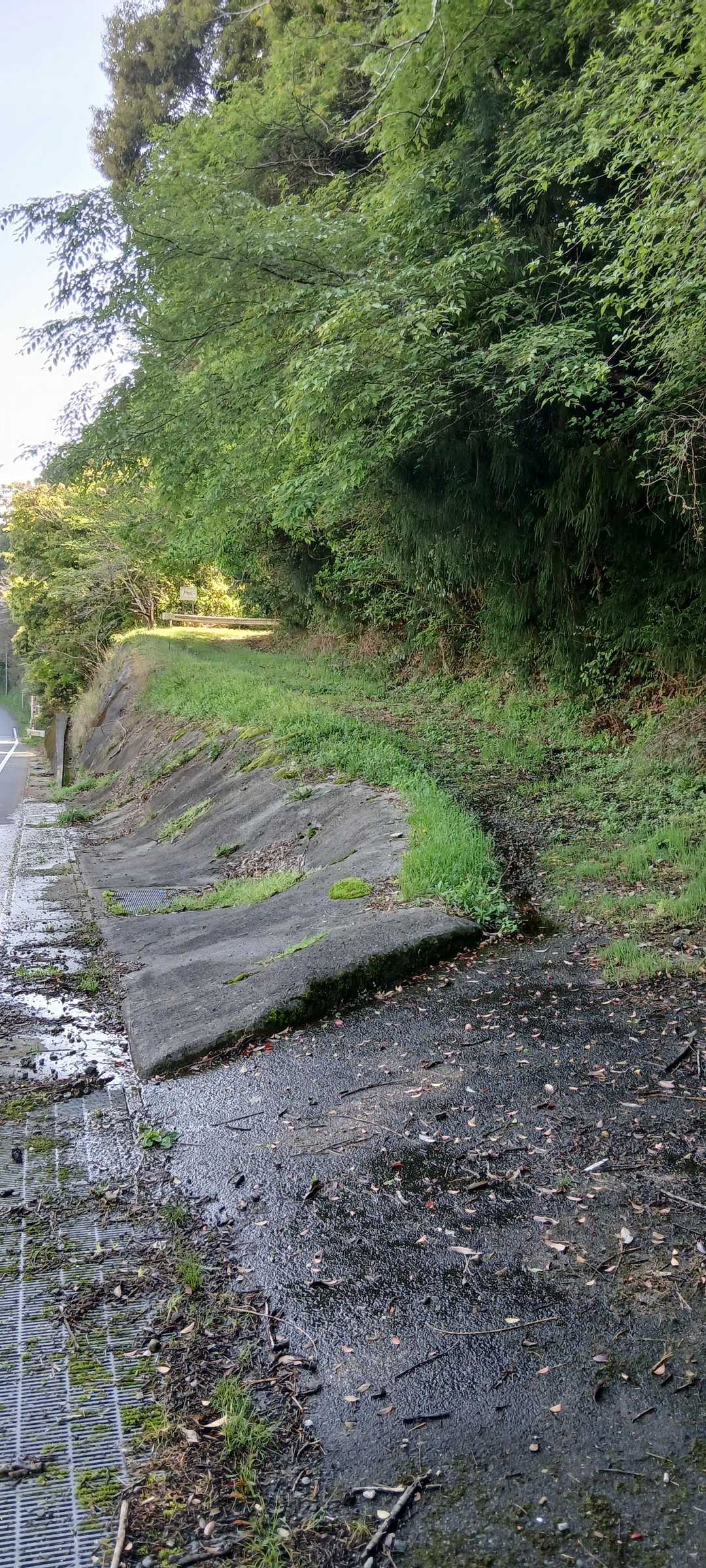 船着山-松山峠-常寒山-万燈山 周回コースの写真