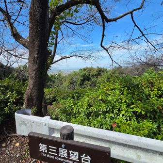このあたりから、雅なBGMが聞こえはじめます♪