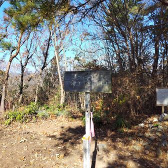 岩国山山頂🙌
登山口からここまでがめちゃくちゃきつかった😣