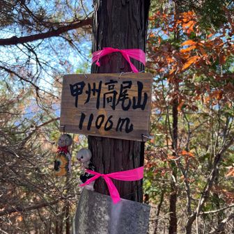 次の甲州高尾山からの眺望はないです