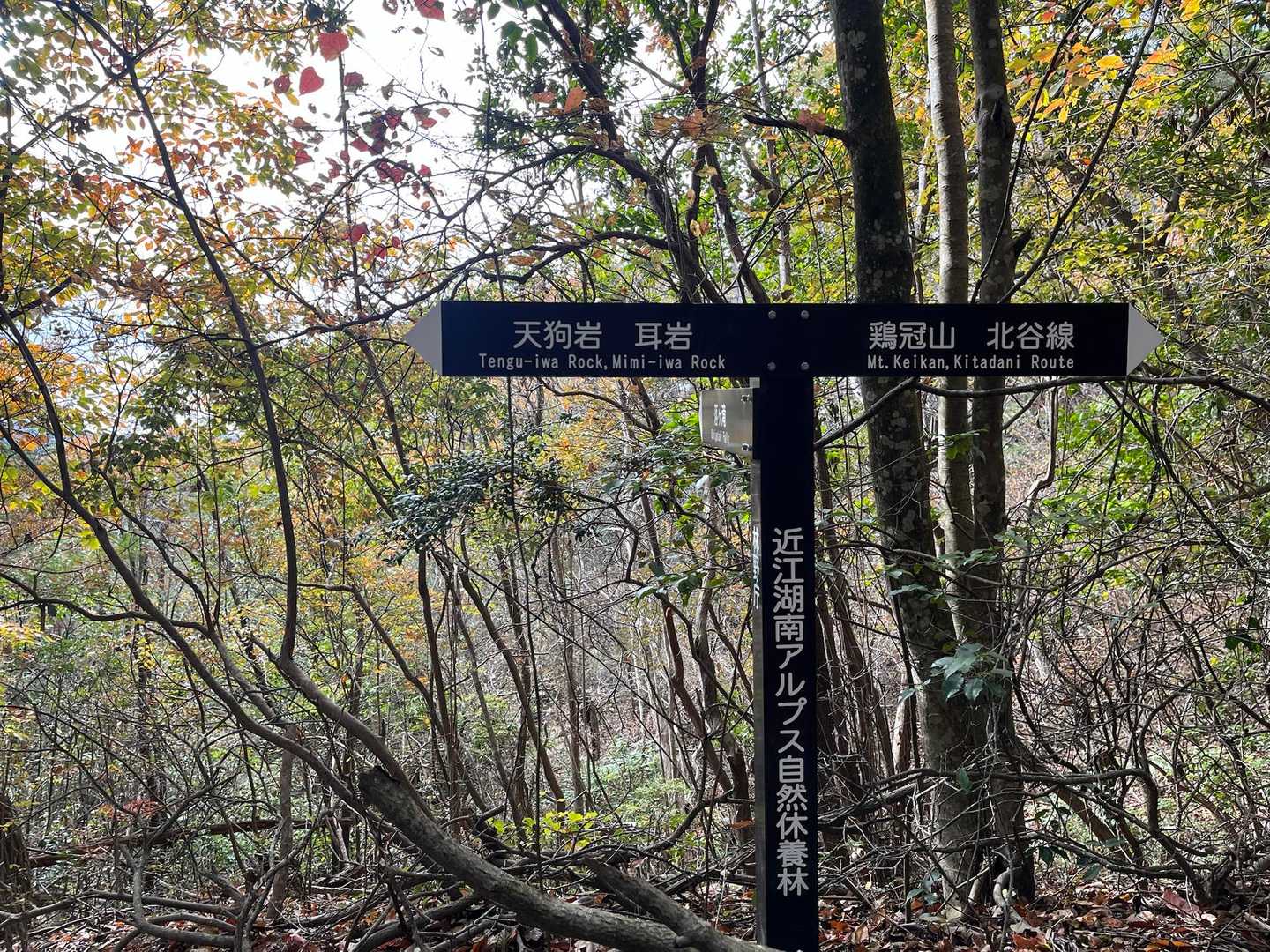 上桐生登山口-天狗岩 周回コースの写真