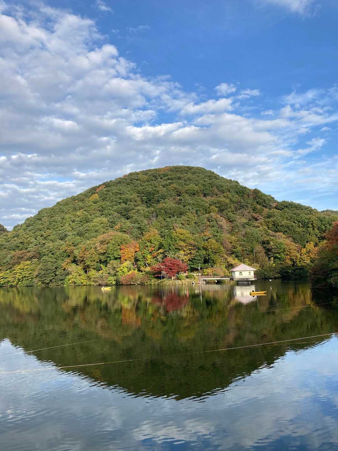 円良田湖　紅葉していた