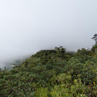 三ツ岩岳山頂から会津駒ヶ岳方面を望むも標高2,000m付近のガスは増すばかり☁
積雪期には会津駒ヶ岳まで行ける冬季限定ルート。