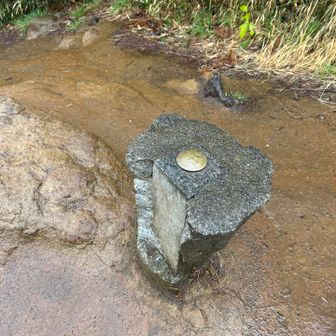 こちらはティラノザウルスの頭かとおもいました。
少し小さいので違うか〜w