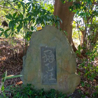 ちょっと戻ってこの石碑辺りが弁天山
山頂標識はなし