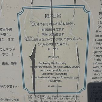 堀文子さん、生き方素敵💓