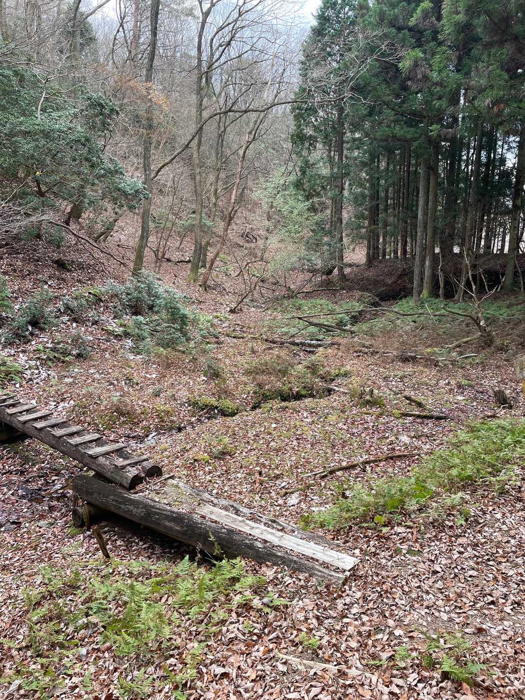 霊山登山口-霊山 周回コースの写真