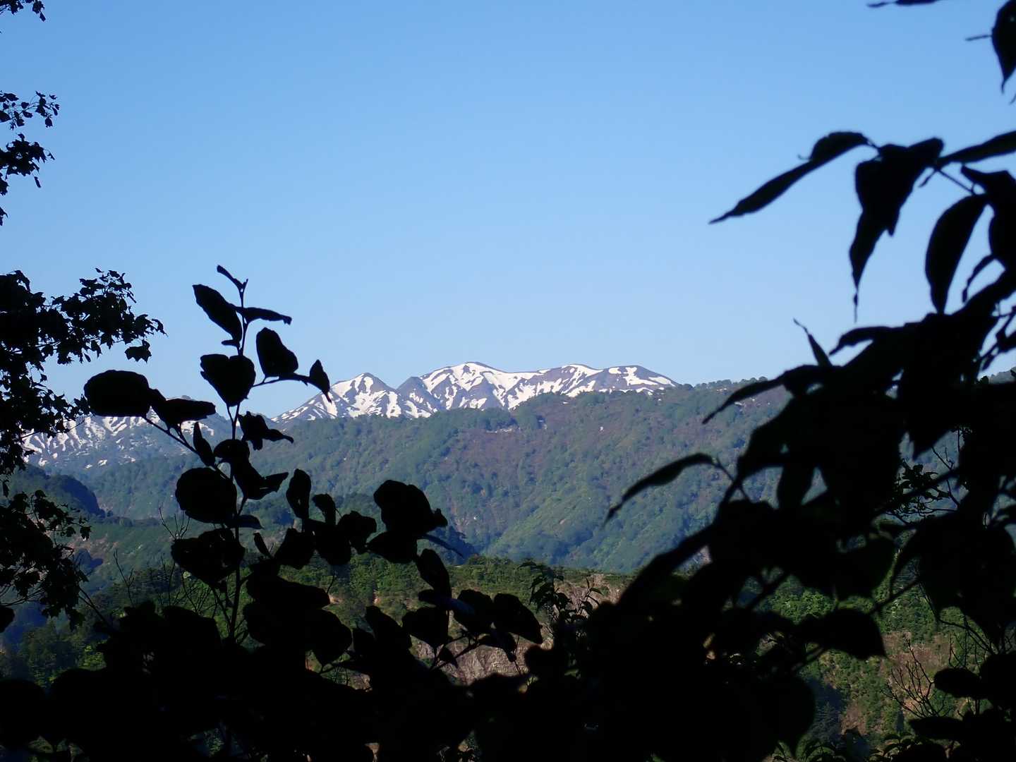 粟ケ岳