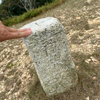 🔼
蛇を後にして進む。
目指せ武奈ヶ岳。