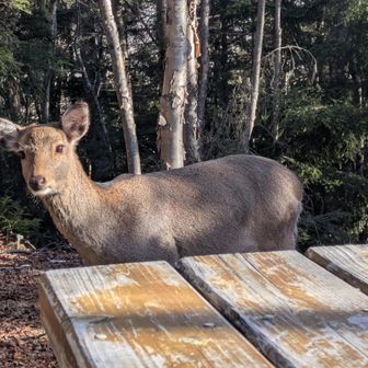 カメラ目線🤣🤣