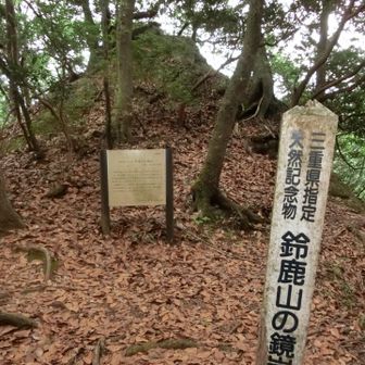 岩の左手から回り込む事が出来ます