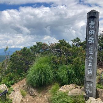 山頂でお話しした男性二人組の方に
山のお話し沢山聞かせてもらって
楽しかったです。
同じ道東方面の方々で
武佐岳山開きにきていたそうです。
ピンネシリまで行ったのかな？