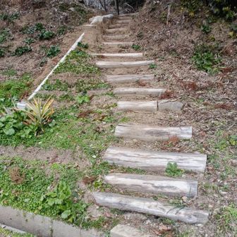 🅿️まで続いています🐾