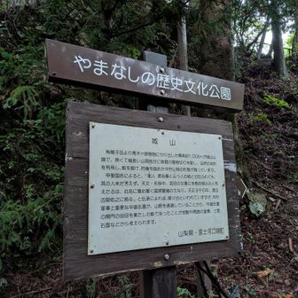 城山なんてあったのね！