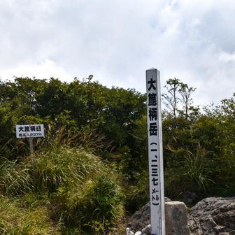 山頂到着〜あれっ？最後だけ合ってた？15分で着いたよ😮
大篦柄ってさ、「箆（スズタケ）」という意味の漢字に、地元での呼び名「柄（ガラ）」という音を当てはめ、「スズタケ（ガラ）が大きく群生している山」ってことなんだって。確かに背丈ぐらいの笹掻き分けてきたわ。