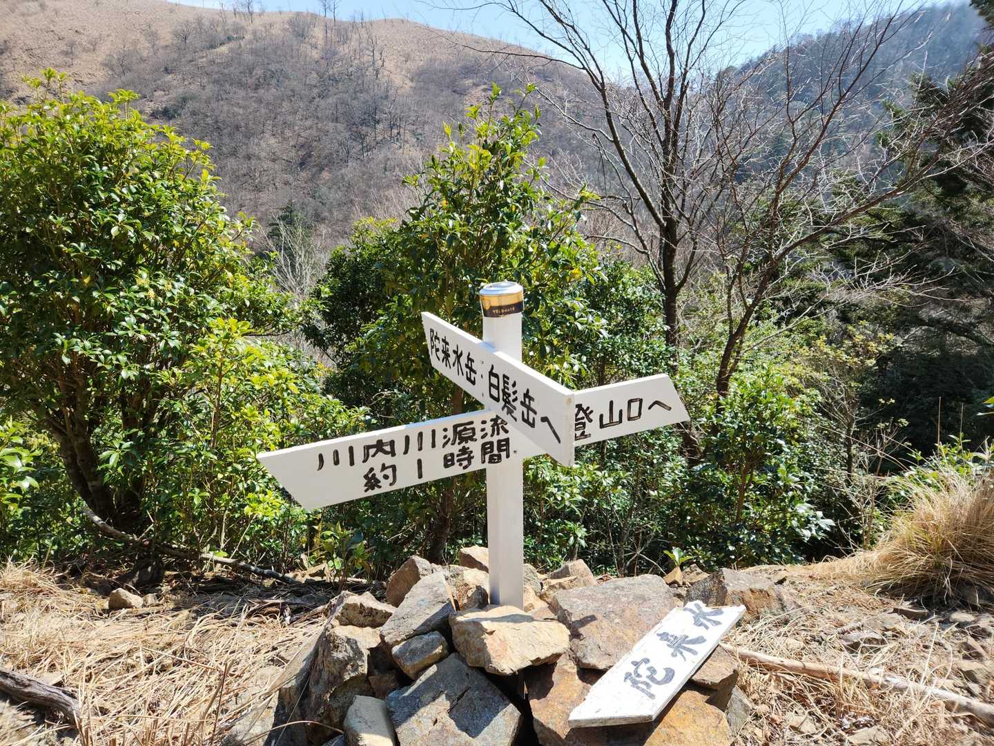 林道に出た