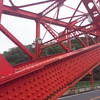 橋の歩道を走っているときは前方にサルが現れて困惑したのですがあっさりと上に退避していきました。