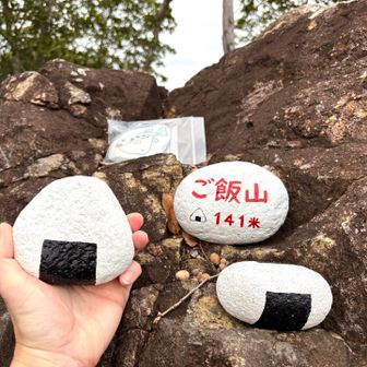 それらしきのもの発見！

これ？
おにぎりでしょ⁉︎
どうしてご飯山と名付けたのだろうか？？？
これだとおにぎり山の方が合ってるのでは⁉︎

大阪のサンドイッチ山は、313mだから3で挟んだ山名サンドイッチ山としたのがあるけど、、、
141mを141米と読み替えて、ご飯山なのかな⁉︎
