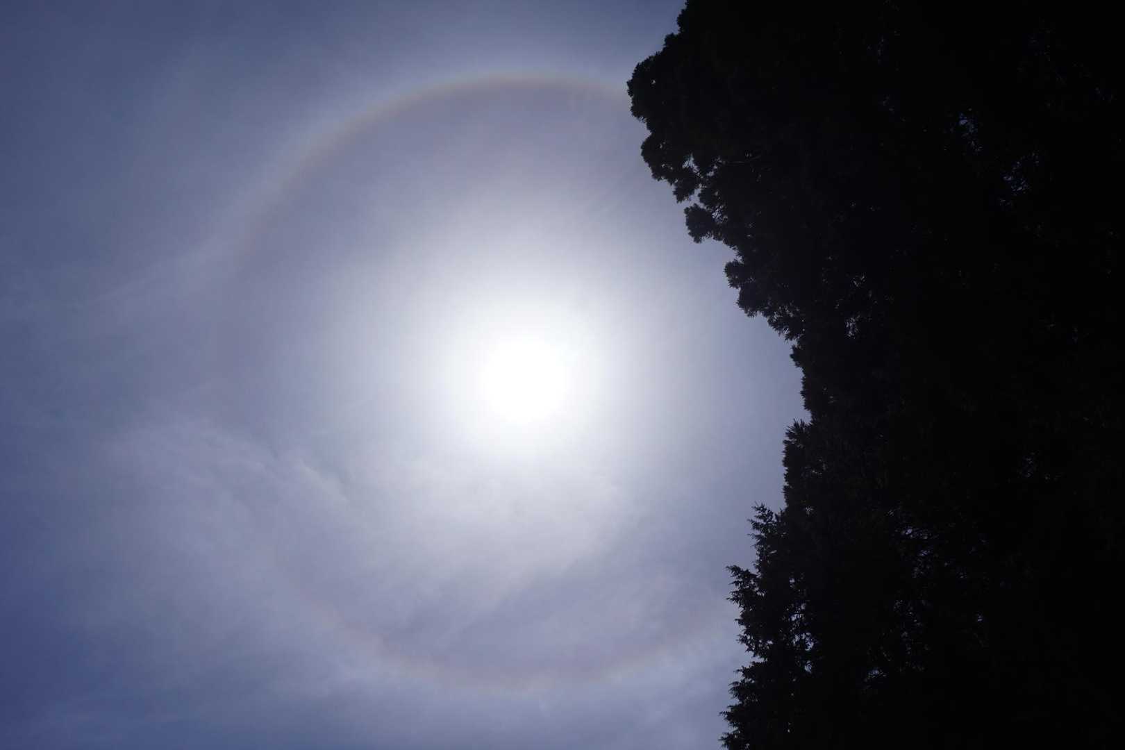 袴ヶ仙 周回コースの写真