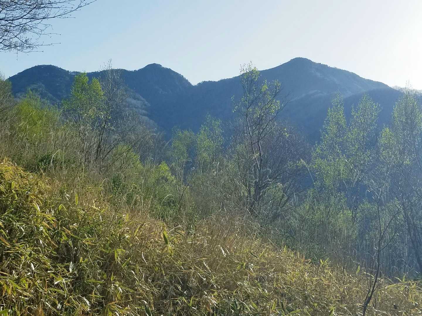 このときはまだ山の位置関係があやふや。とりあえず、右のが主峰袈裟丸山であろう。あ、違う、真ん中のか？じゃあ右のは小丸山？？目指す後袈裟丸は…んー？？？